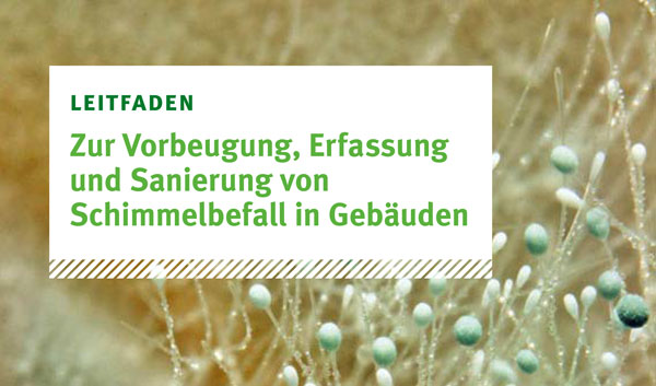 Klimaplatte24
